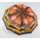 Парасолька жіноча напівавтомат з візерунком міста на 10 спиць