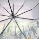 Парасолька жіноча Frei Regen напівавтомат атлас #090734